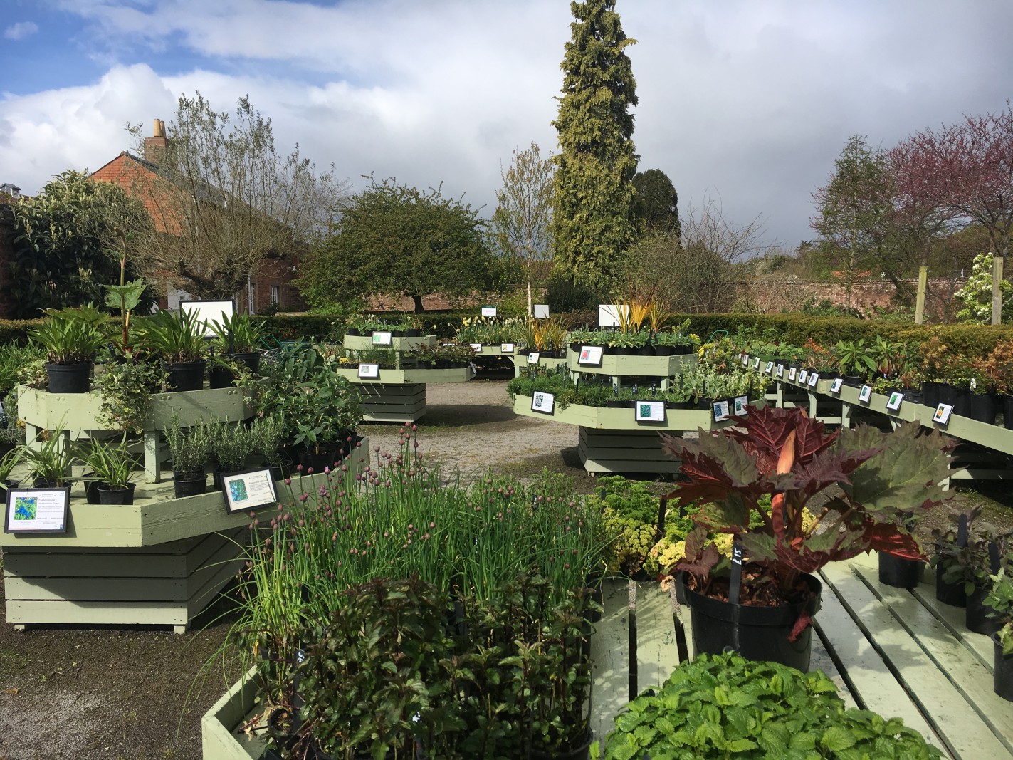 Walled Gardens - plant sale